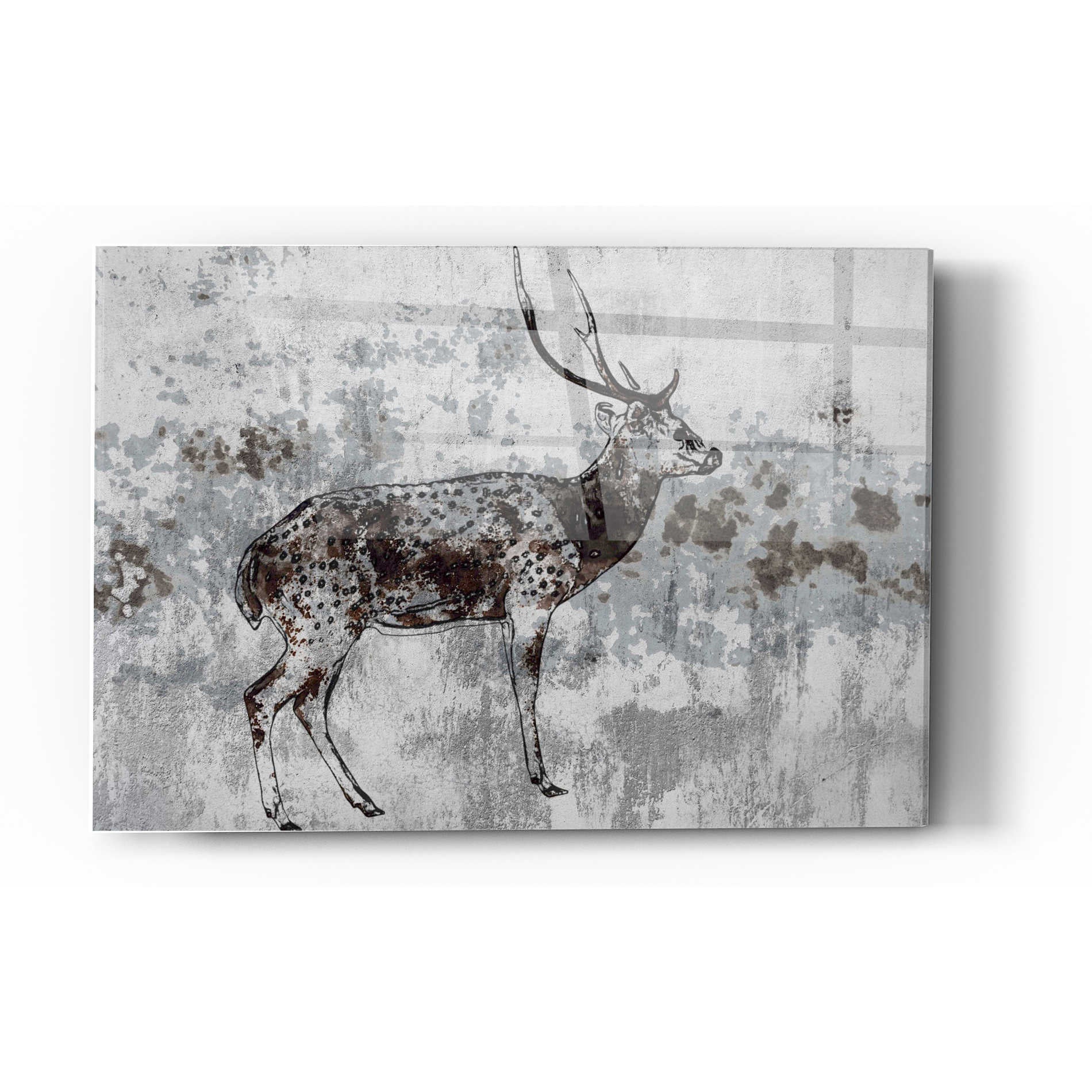 Epic Art 'Sika Deer 1' by Irena Orlov, Acrylic Glass Wall Art,12x16