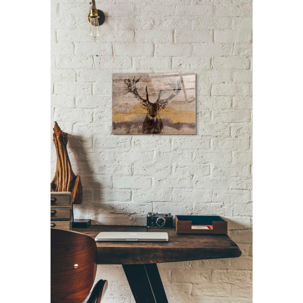 Epic Art 'White-Tailed Deer' by Irena Orlov, Acrylic Glass Wall Art,12x16