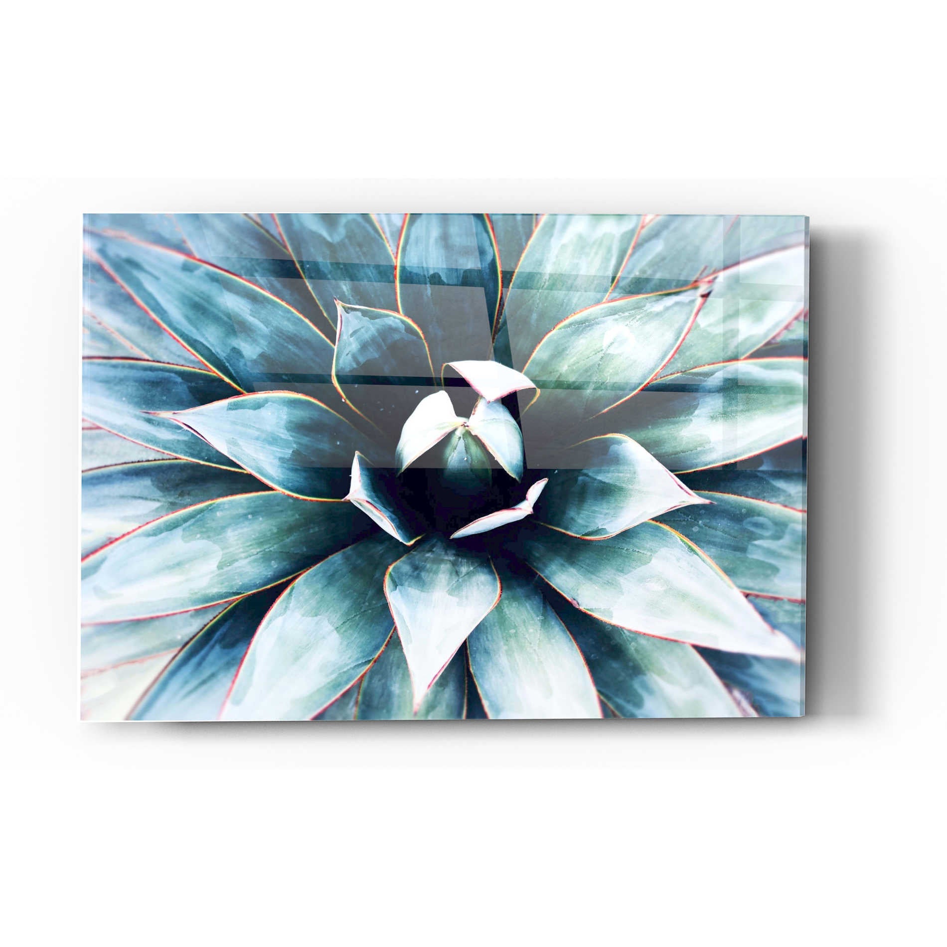 Epic Art 'Tropical Star' by Irena Orlov, Acrylic Glass Wall Art,12x16