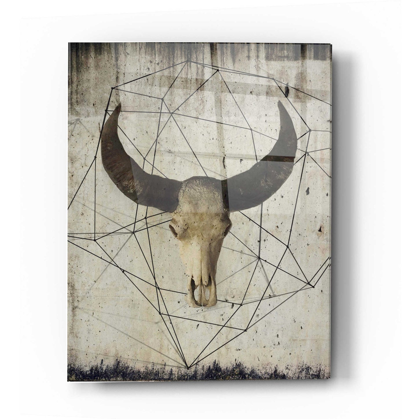 Epic Art 'Buffalo Skull' by Irena Orlov, Acrylic Glass Wall Art,12x16