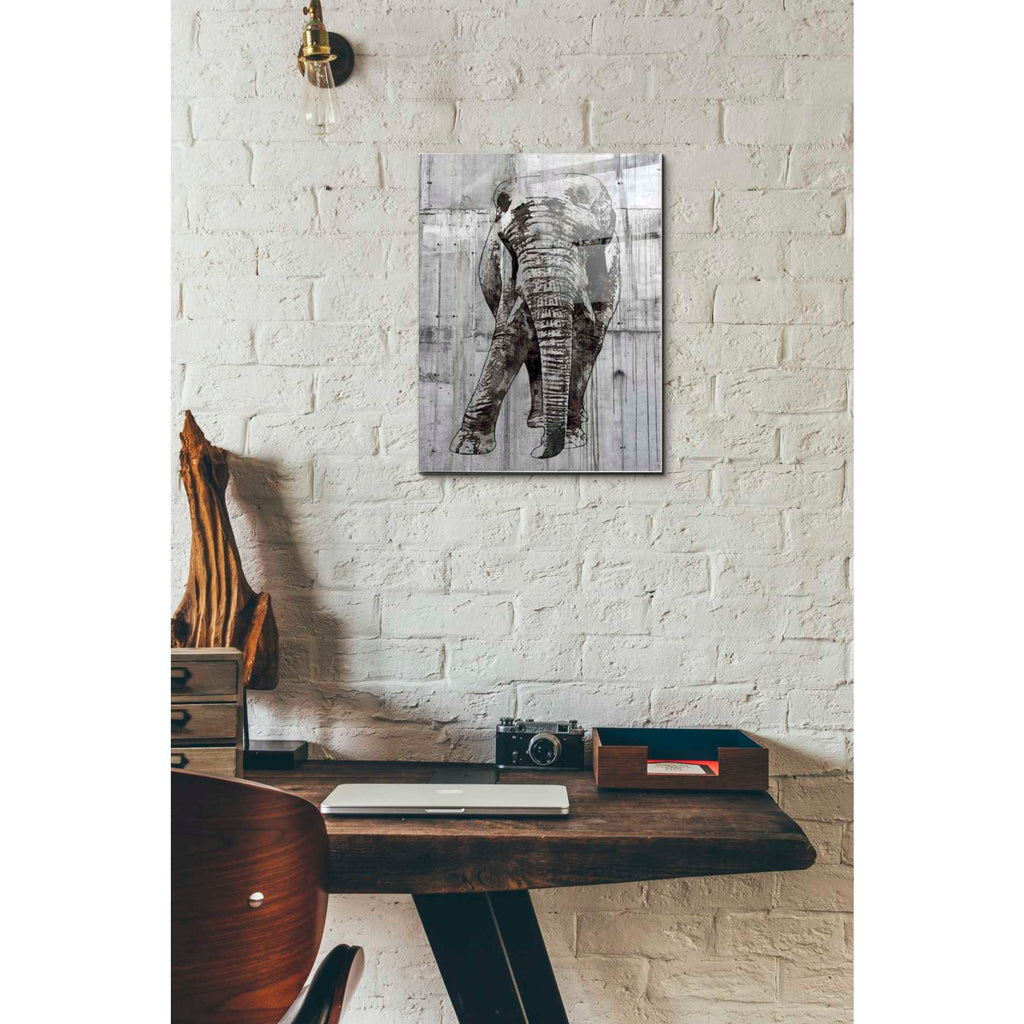 Epic Art 'ELEPHANT Portrait' by Irena Orlov, Acrylic Glass Wall Art,12x16