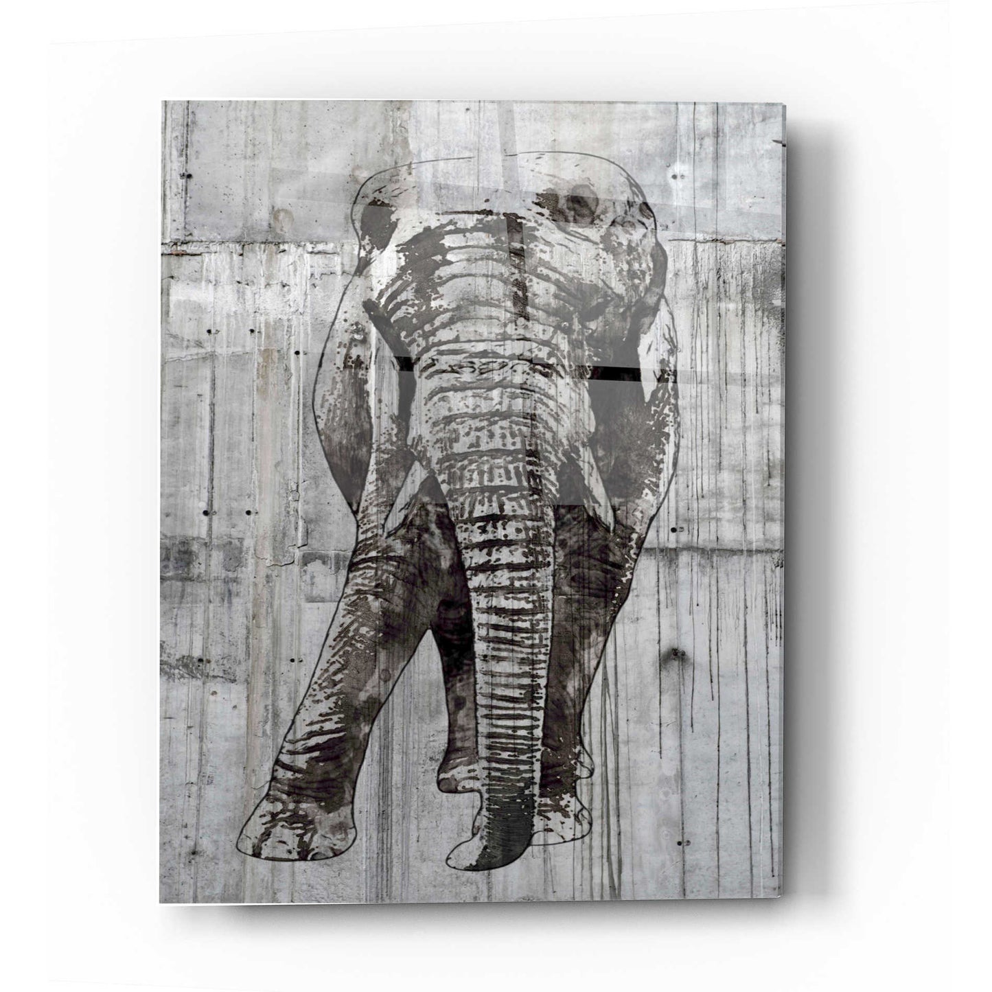 Epic Art 'ELEPHANT Portrait' by Irena Orlov, Acrylic Glass Wall Art,12x16