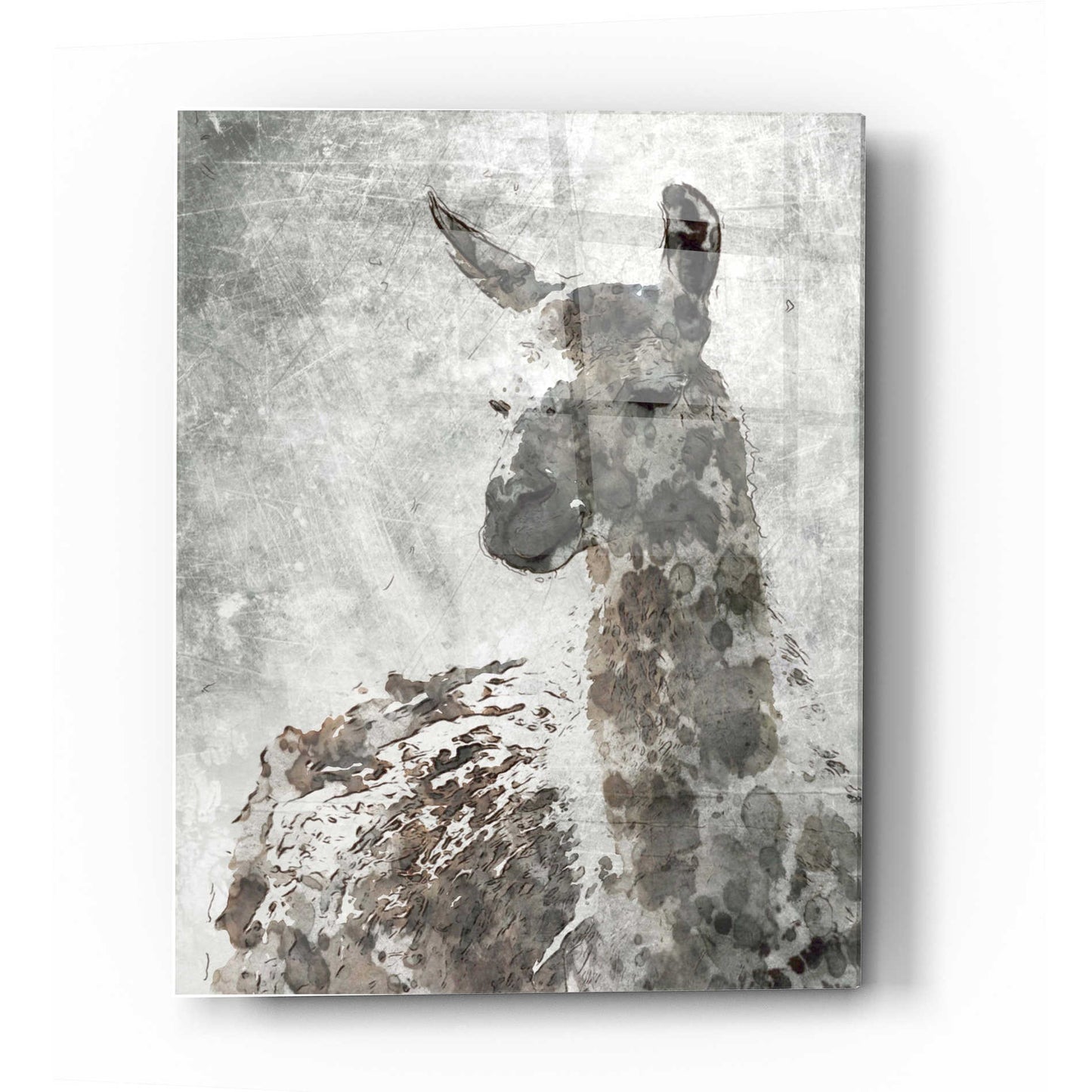 Epic Art 'Llama' by Irena Orlov, Acrylic Glass Wall Art,12x16
