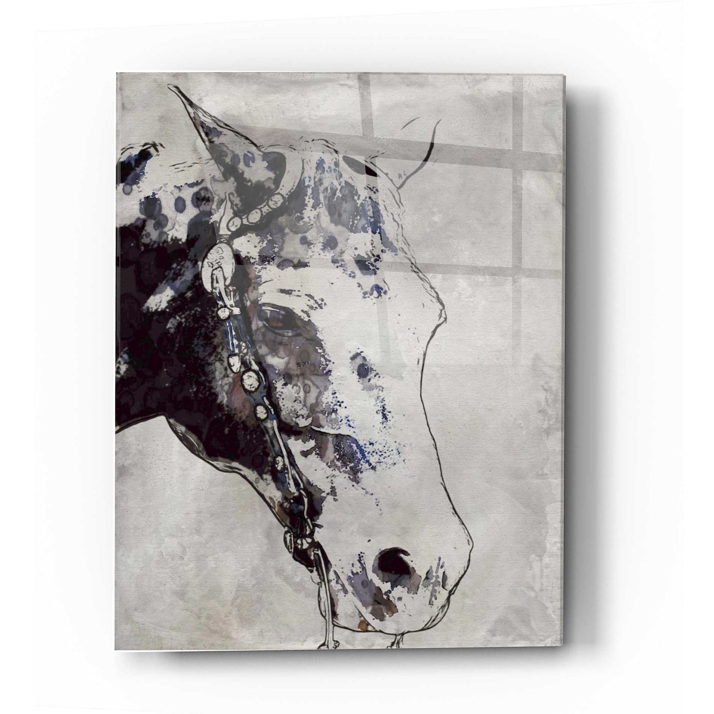 Epic Art 'Morgan Horse-Black Beauty' by Irena Orlov, Acrylic Glass Wall Art,12x16