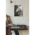 Epic Art 'SPIRIT EYE Horse' by Irena Orlov, Acrylic Glass Wall Art,12x16
