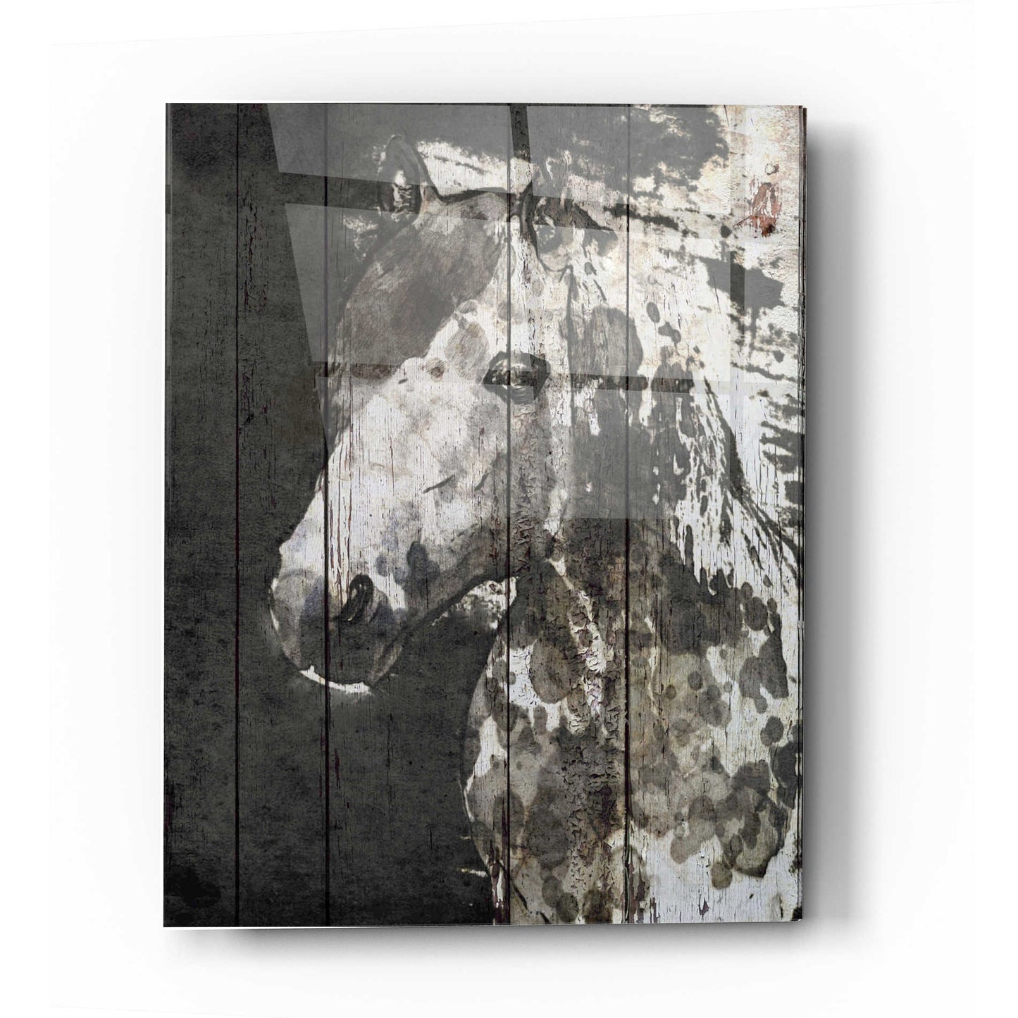 Epic Art 'SPIRIT EYE Horse' by Irena Orlov, Acrylic Glass Wall Art,12x16