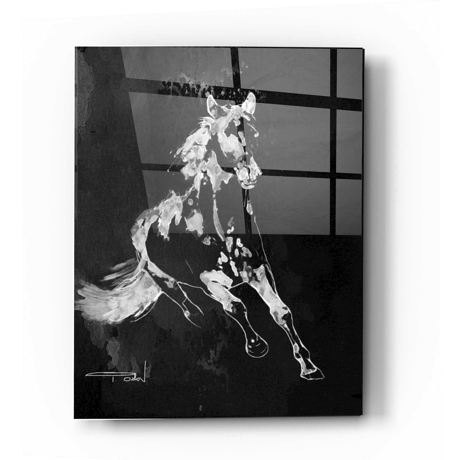 Epic Art 'Wild Running Horse 2' by Irena Orlov, Acrylic Glass Wall Art,12x16