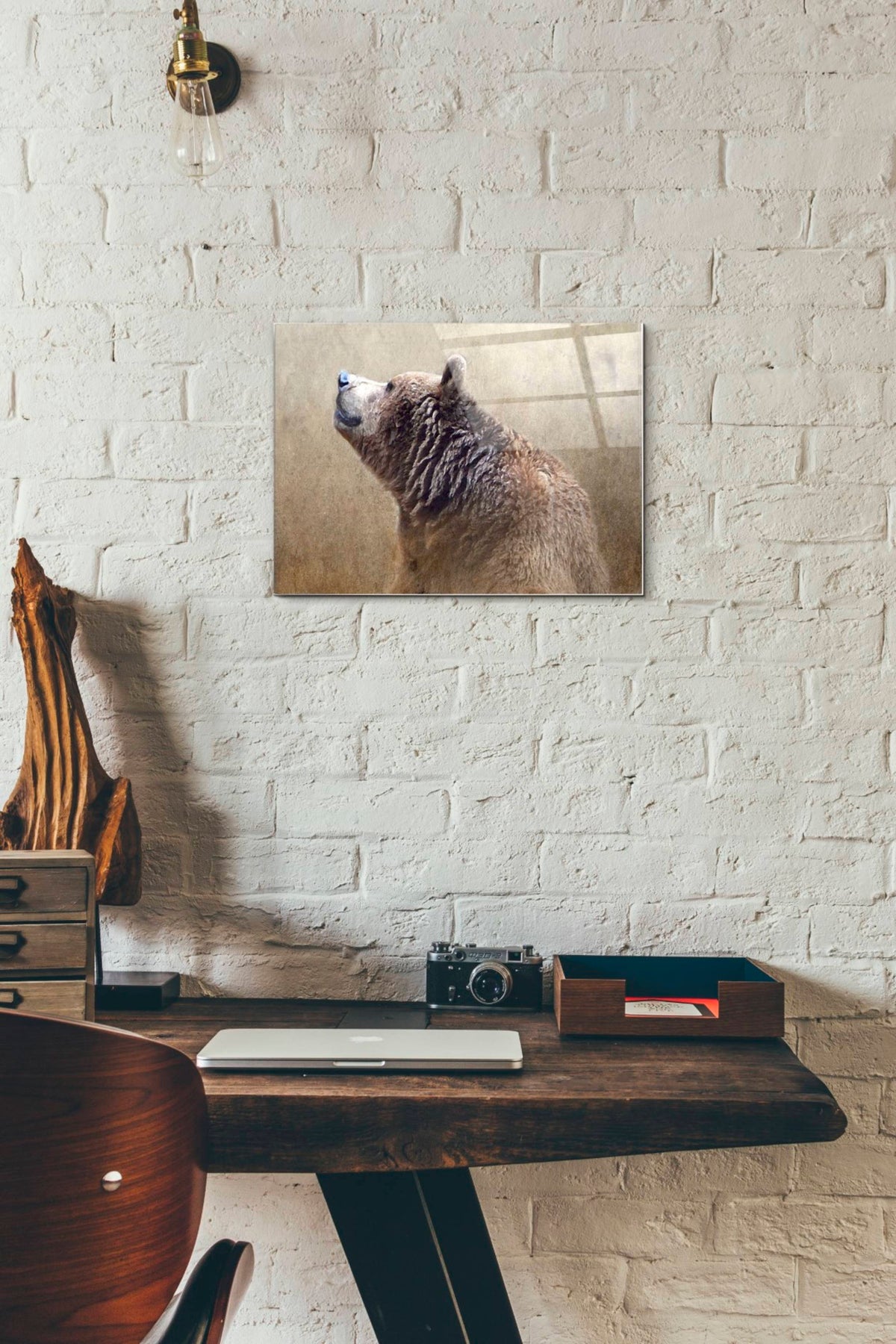 Epic Art 'Big Bear' by Karen Smith, Acrylic Glass Wall Art,12x16