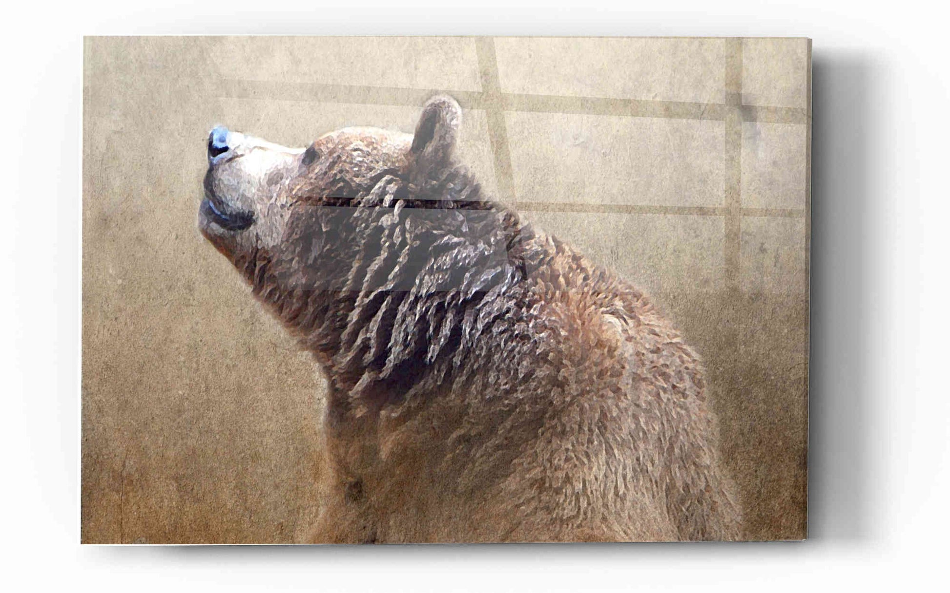 Epic Art 'Big Bear' by Karen Smith, Acrylic Glass Wall Art,12x16