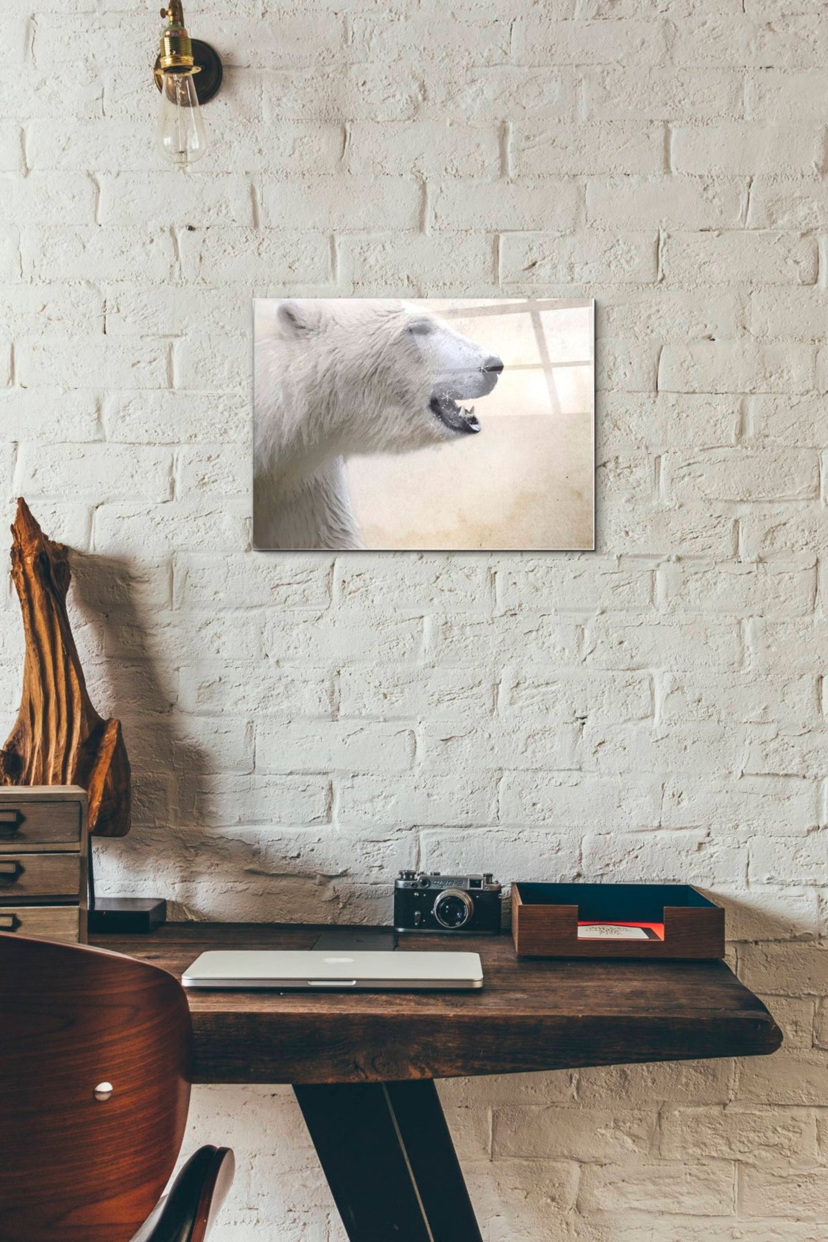Epic Art 'Polar' by Karen Smith, Acrylic Glass Wall Art,12x16