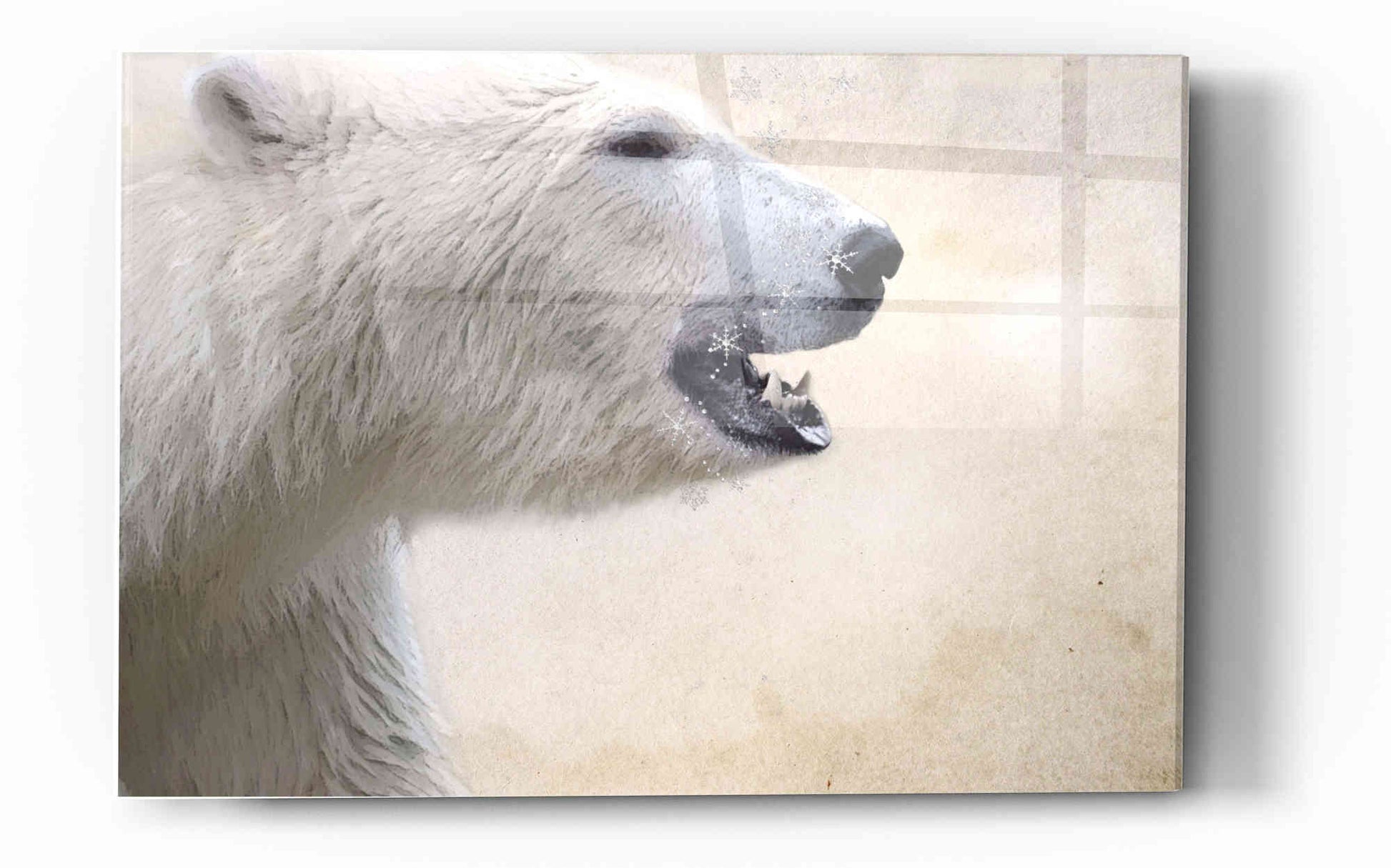 Epic Art 'Polar' by Karen Smith, Acrylic Glass Wall Art,12x16