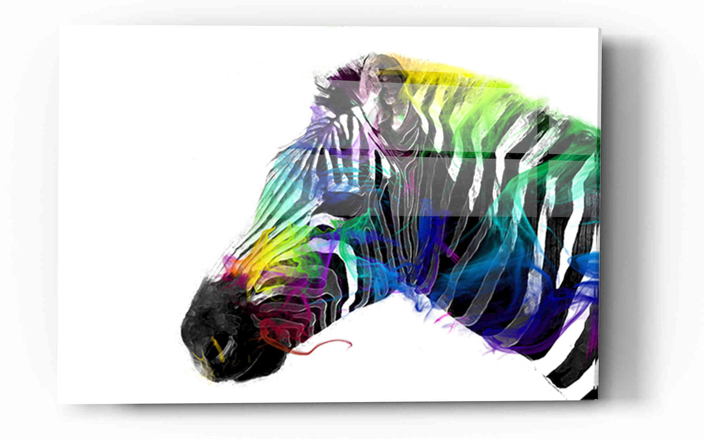 Epic Art 'Zebra' by Karen Smith, Acrylic Glass Wall Art,12x16