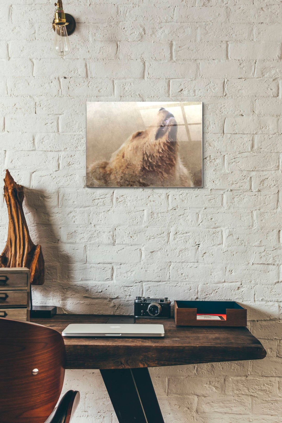Epic Art 'Big Bear 1' by Karen Smith, Acrylic Glass Wall Art,12x16