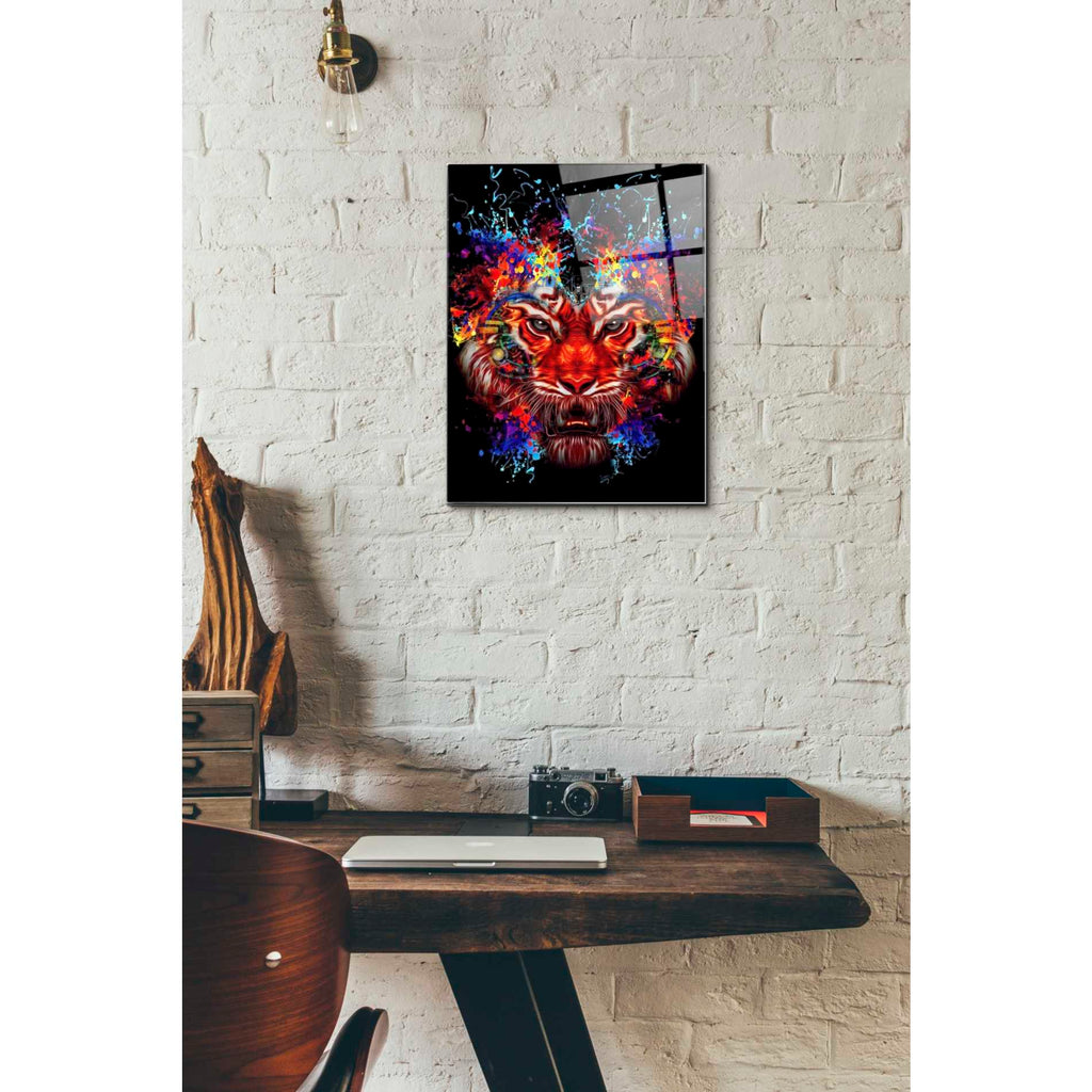 Epic Art 'Dubtiger' Acrylic Glass Wall Art,12x16