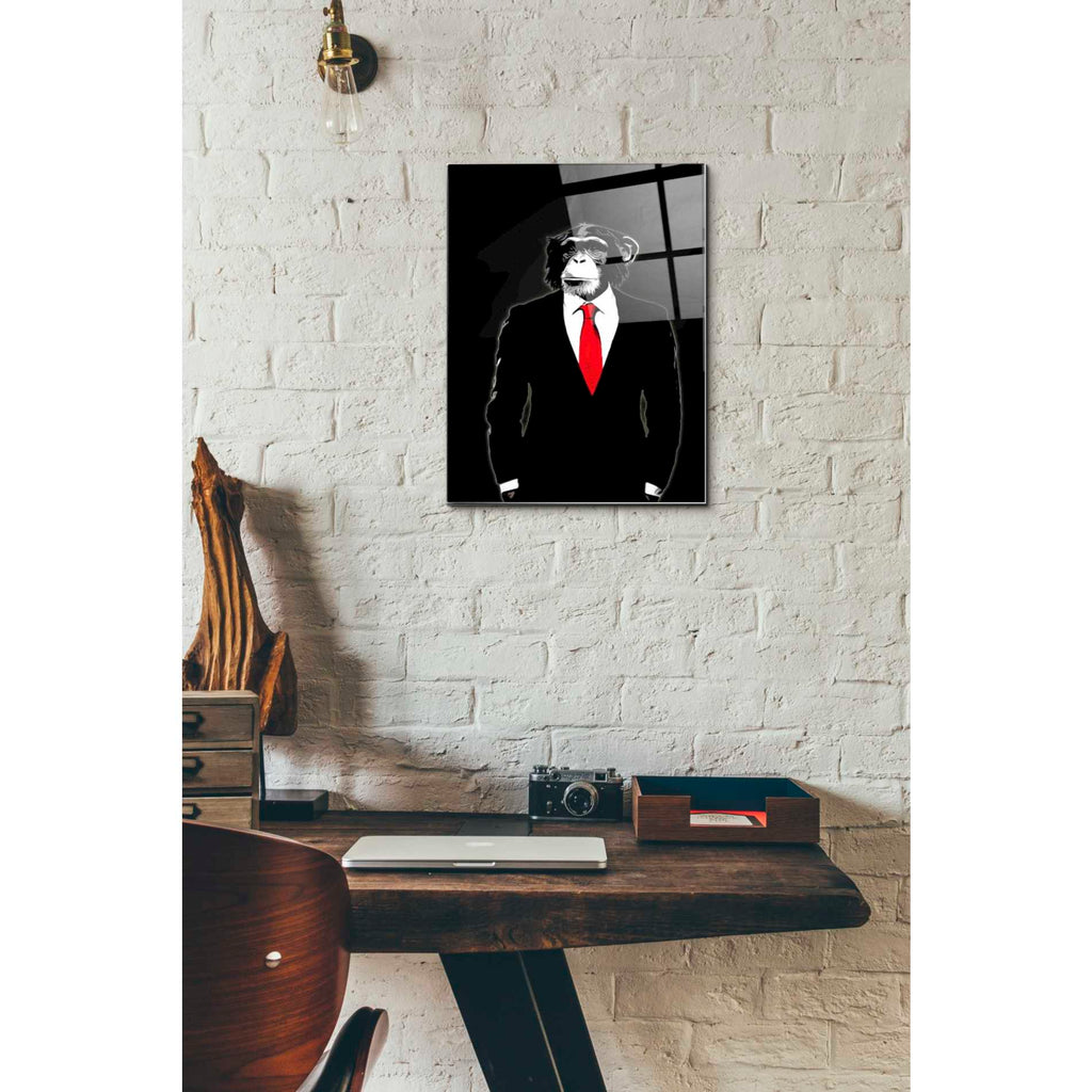 Epic Art 'Domesticated Monkey' by Nicklas Gustafsson, Acrylic Glass Wall Art,12x16