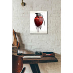 Epic Art 'Heart Grenade' by Nicklas Gustafsson, Acrylic Glass Wall Art,12x16