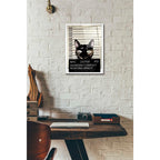 Epic Art 'Kitty Mugshot' by Nicklas Gustafsson, Acrylic Glass Wall Art,12x16