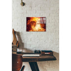 Epic Art 'Countdown' by Mario Sanchez Nevado, Acrylic Glass Wall Art,12x16