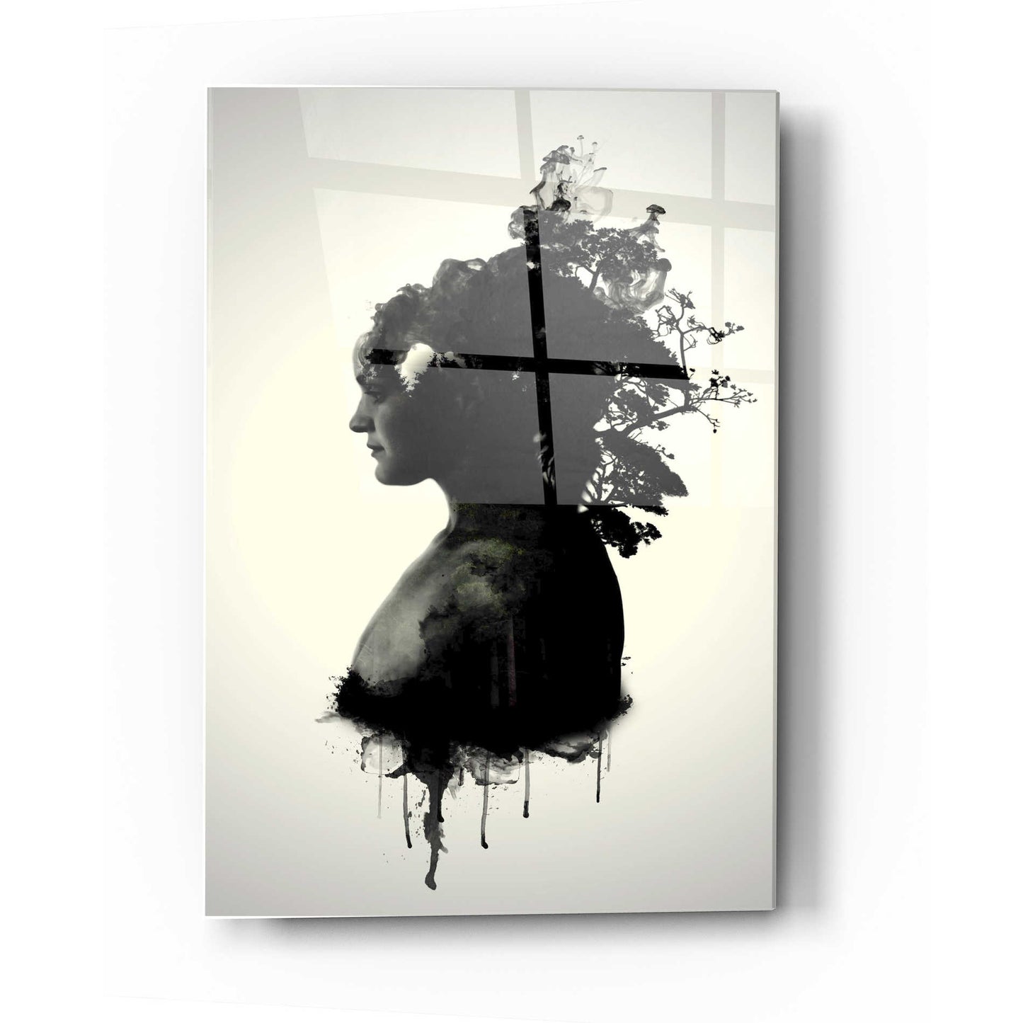 Epic Art 'Mother Earth' by Nicklas Gustafsson, Acrylic Glass Wall Art,12x16