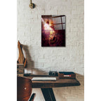 Epic Art 'Flowers' by Mario Sanchez Nevado, Acrylic Glass Wall Art,12x16