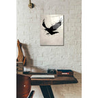 Epic Art 'Raven' by Nicklas Gustafsson, Acrylic Glass Wall Art,12x16