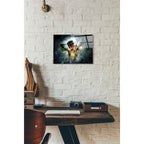 Epic Art 'I Break' by Mario Sanchez Nevado, Acrylic Glass Wall Art,12x16