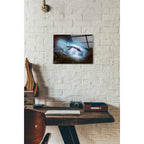 Epic Art 'Tears' by Mario Sanchez Nevado, Acrylic Glass Wall Art,12x16