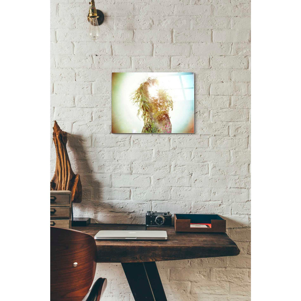 Epic Art 'Wisdom' by Mario Sanchez Nevado, Acrylic Glass Wall Art,12x16