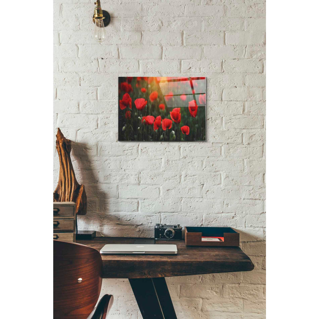 Epic Art "Wood Series: Field of Poppies" Acrylic Glass Wall Art,12x16
