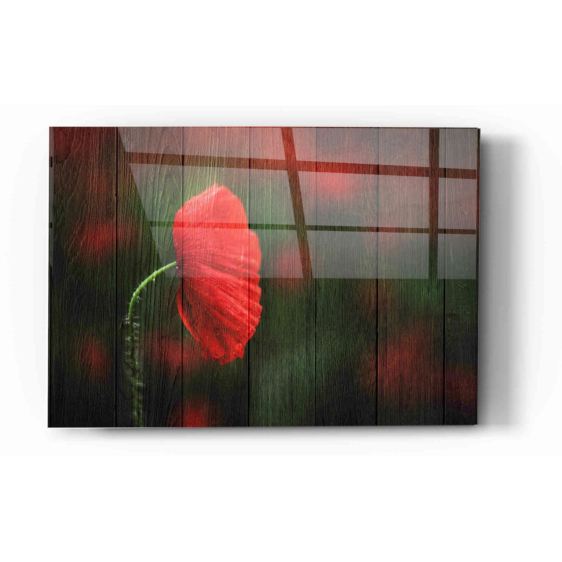 Epic Art "Wood Series: A Red Poppy" Acrylic Glass Wall Art,12x16