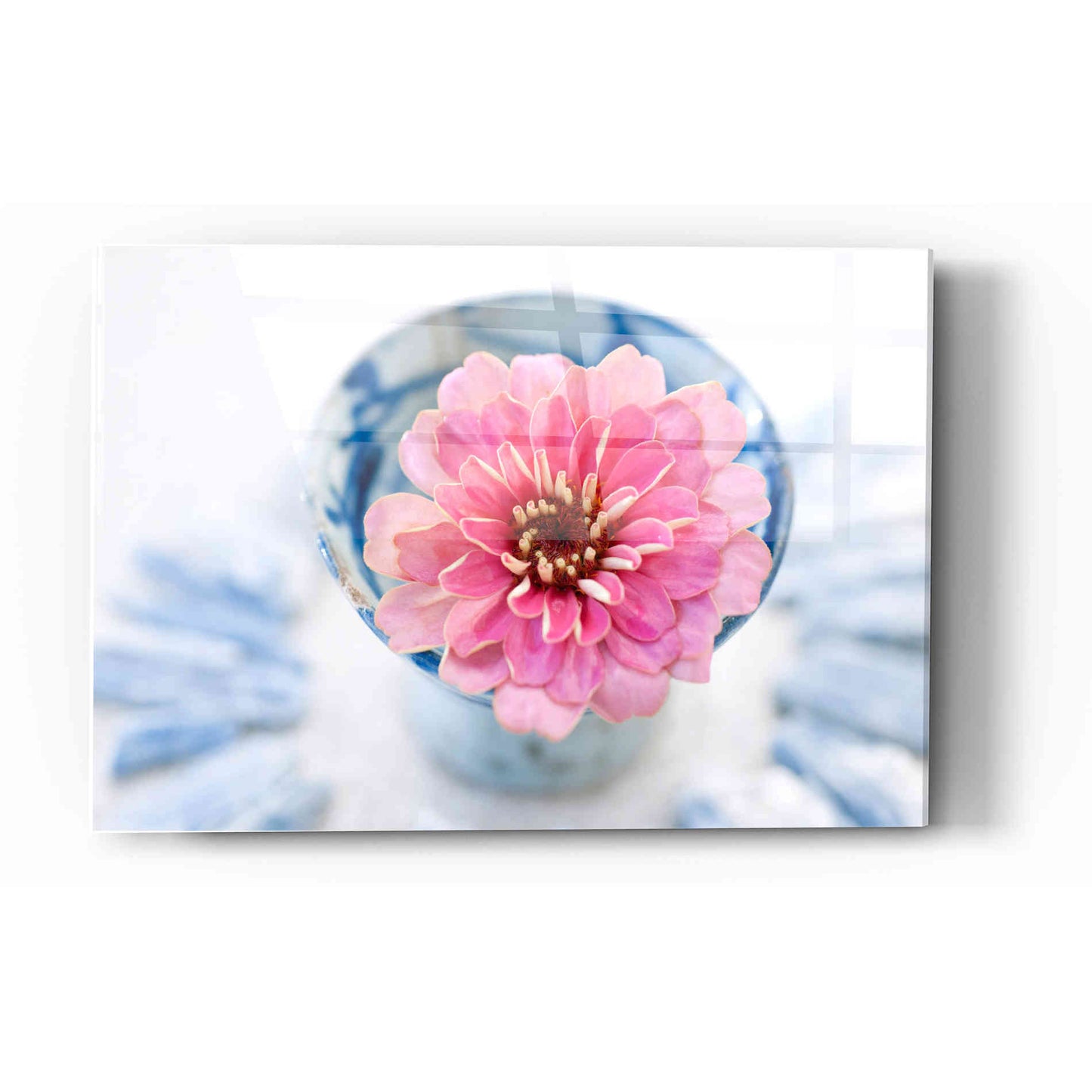 Epic Art 'Pink Flower in a Saké Cup' by Elena Ray Acrylic Glass Wall Art,12x16