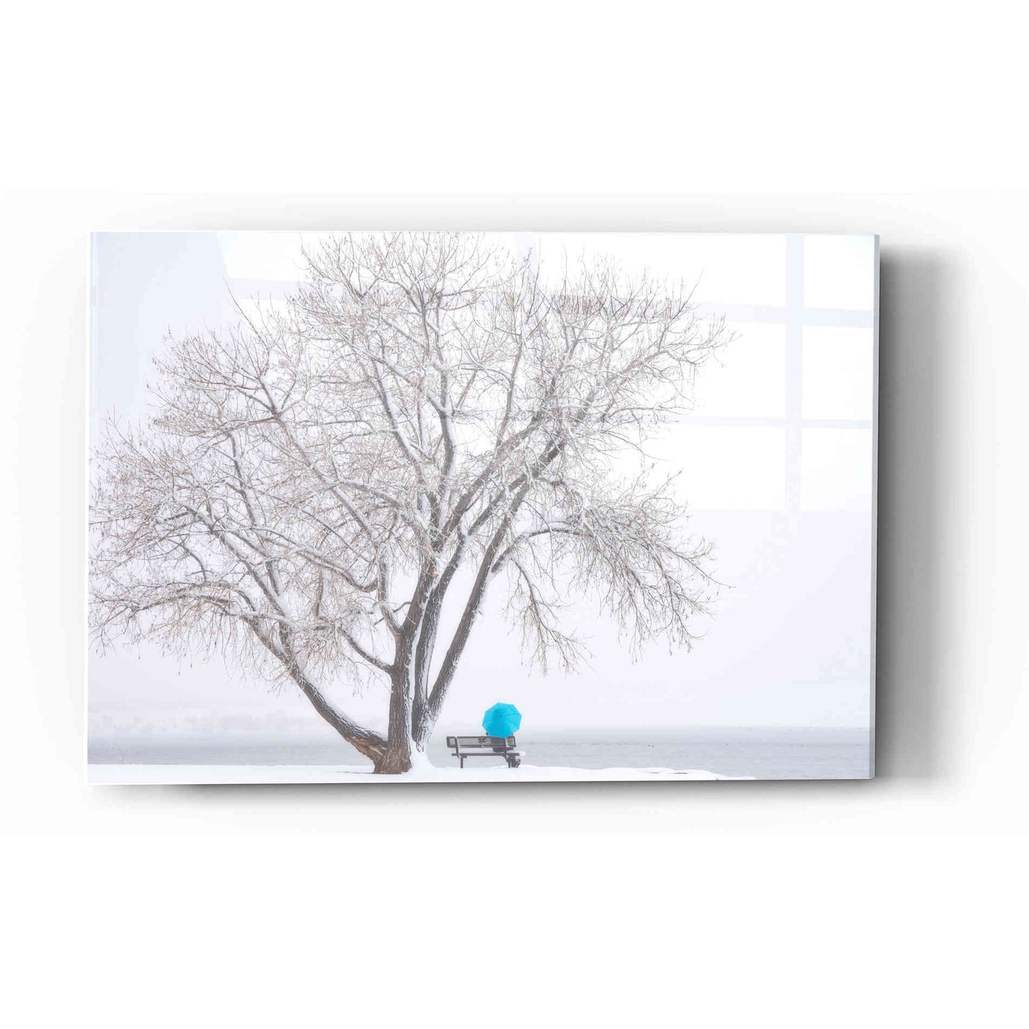 Epic Art "Another Winter Alone" by Darren White, Acrylic Glass Wall Art,12x16