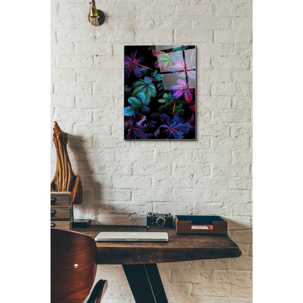 Epic Art "Frosty Fall" by Darren White, Acrylic Glass Wall Art,12x16