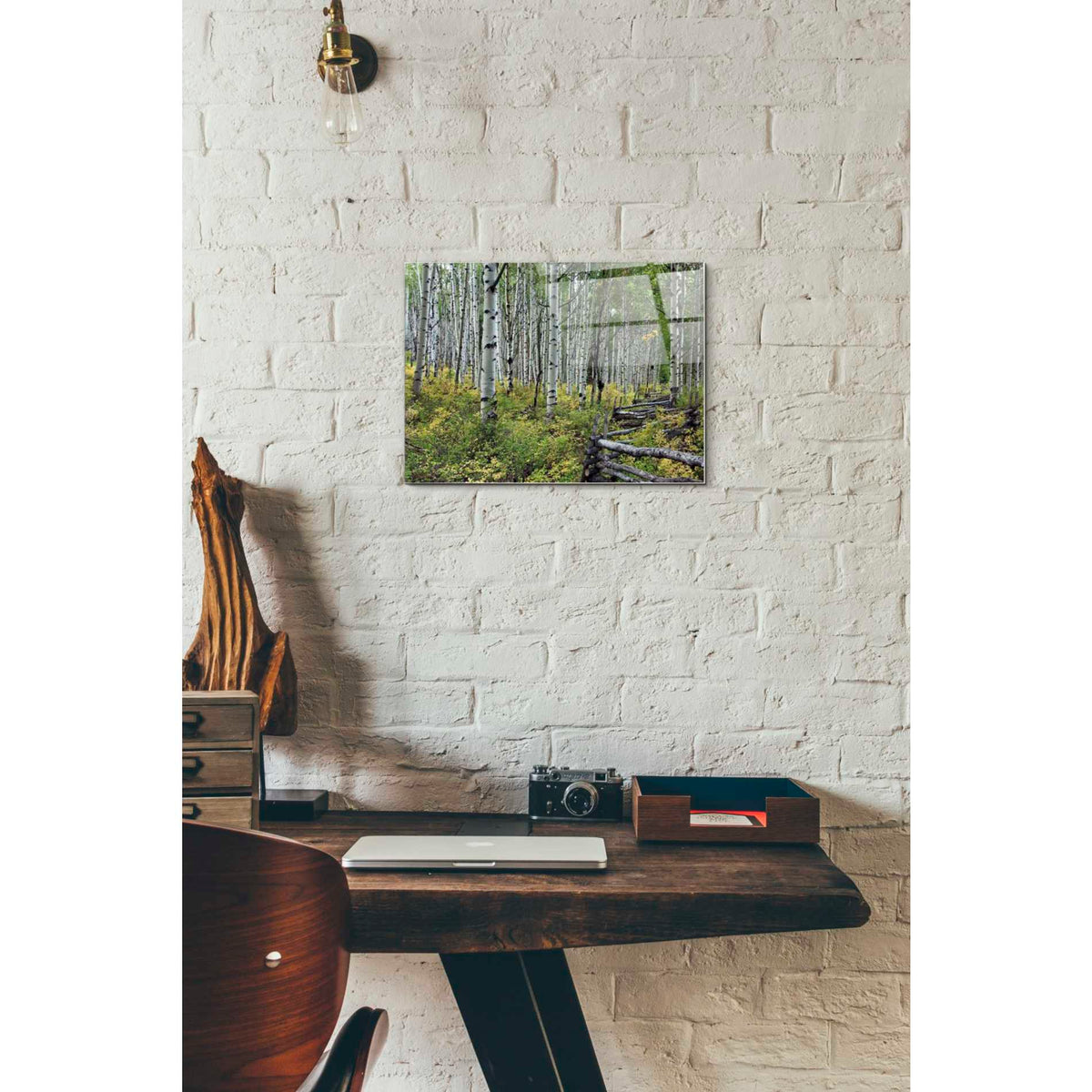 Epic Art 'Aspen Grove Rail Fence,' Acrylic Glass Wall Art,12x16