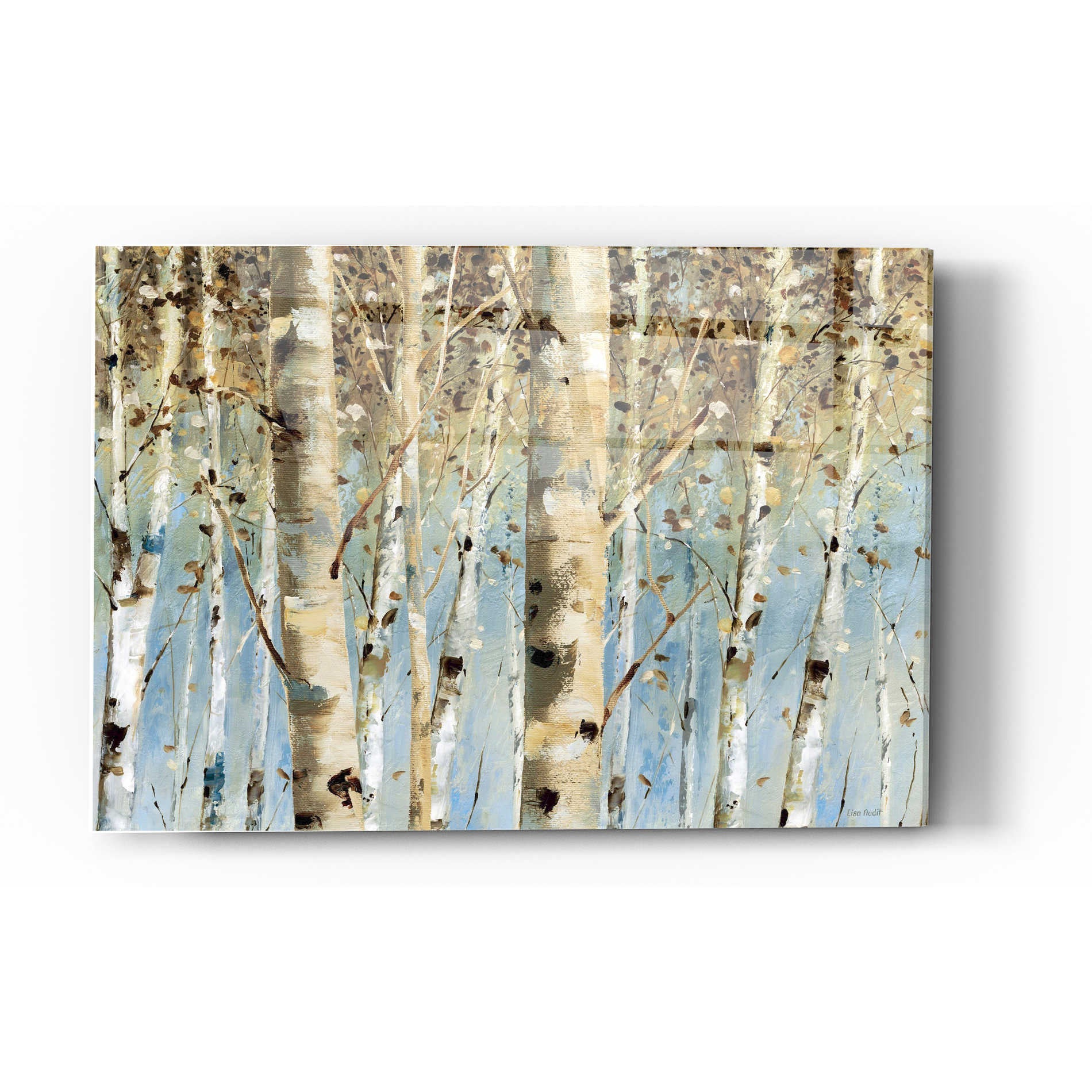 Epic Art 'White Forest' by Lisa Audit, Acrylic Glass Wall Art,12x16