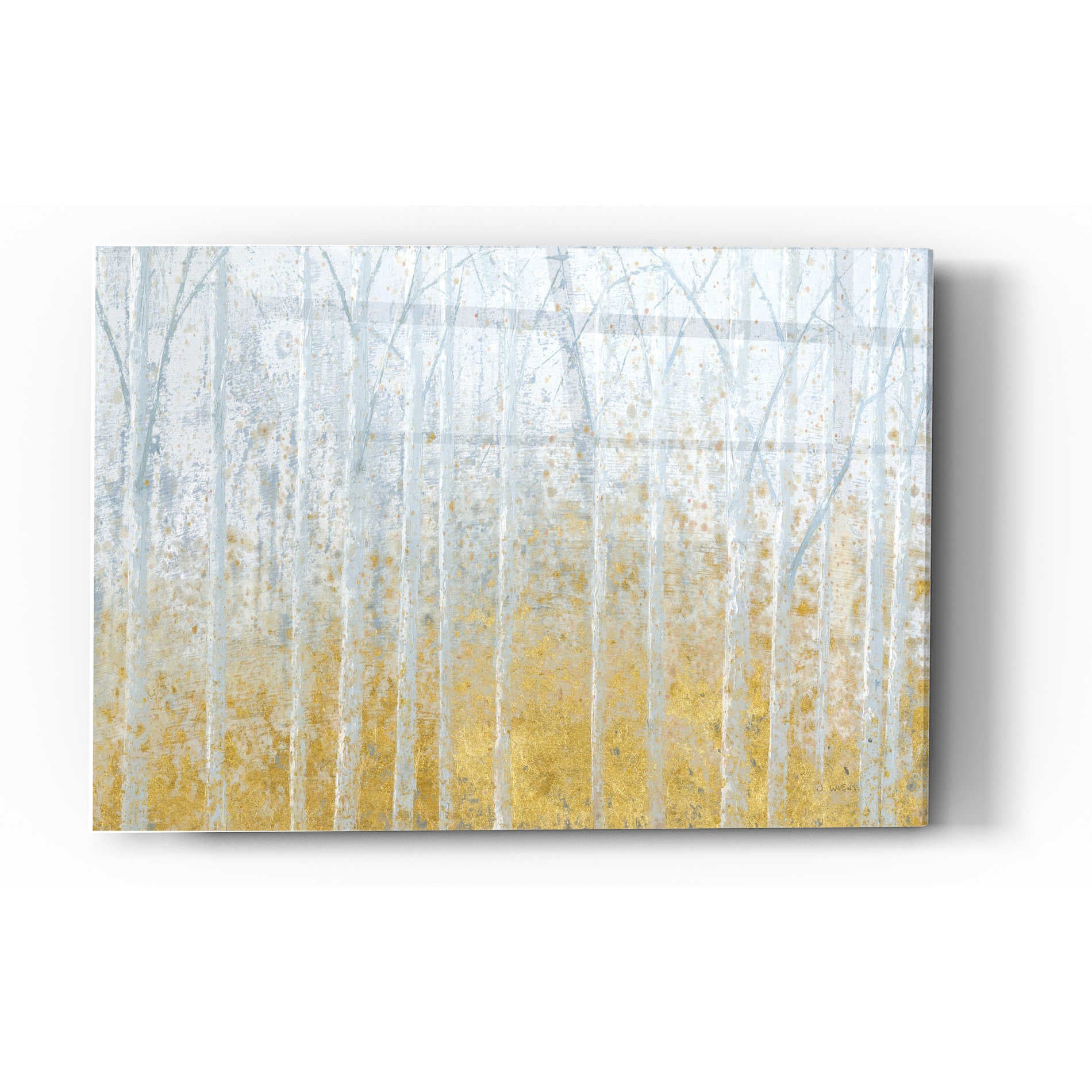 Epic Art 'Silver Water GOLD' by James Wiens, Acrylic Glass Wall Art,12x16