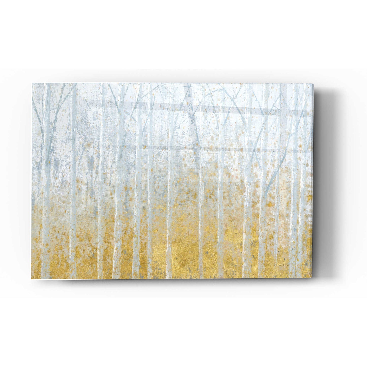 Epic Art 'Silver Water GOLD' by James Wiens, Acrylic Glass Wall Art,12x16