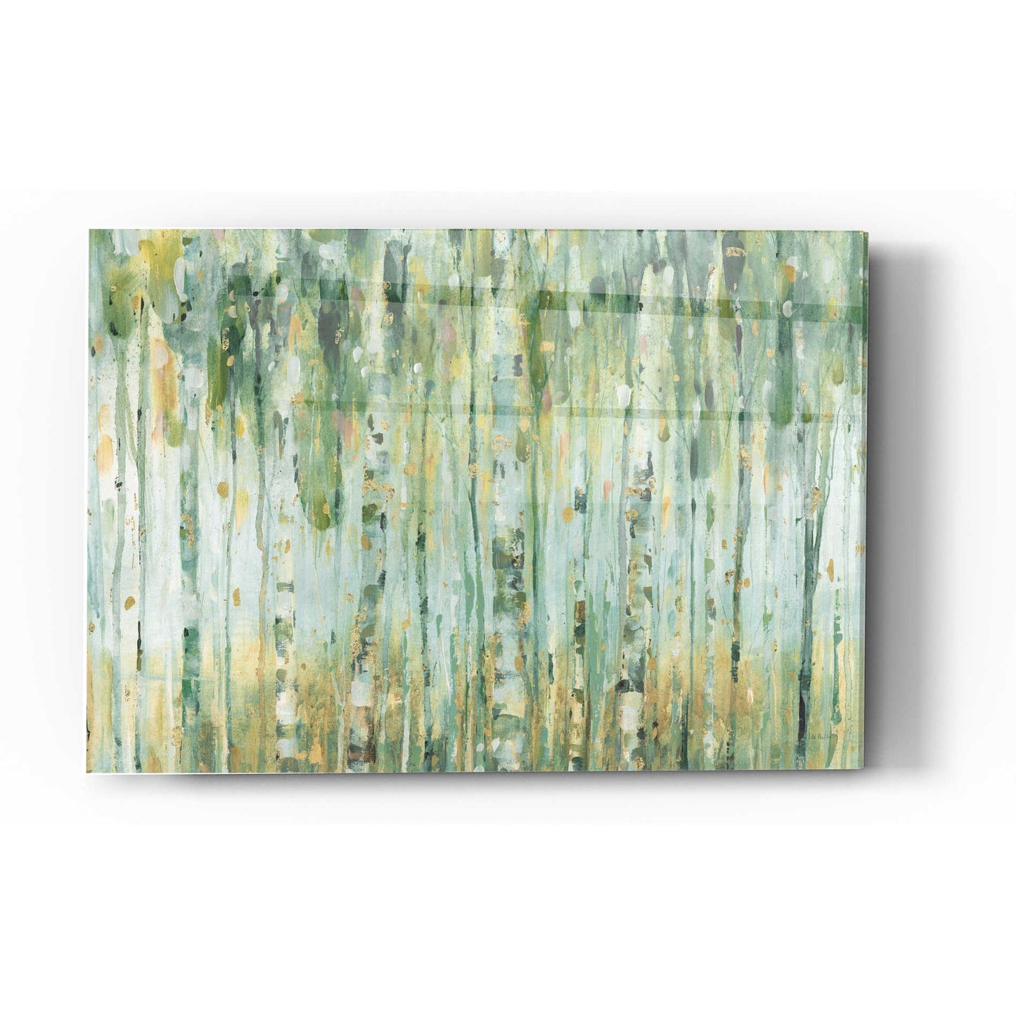 Epic Art 'The Forest I' by Lisa Audit, Acrylic Glass Wall Art,12x16