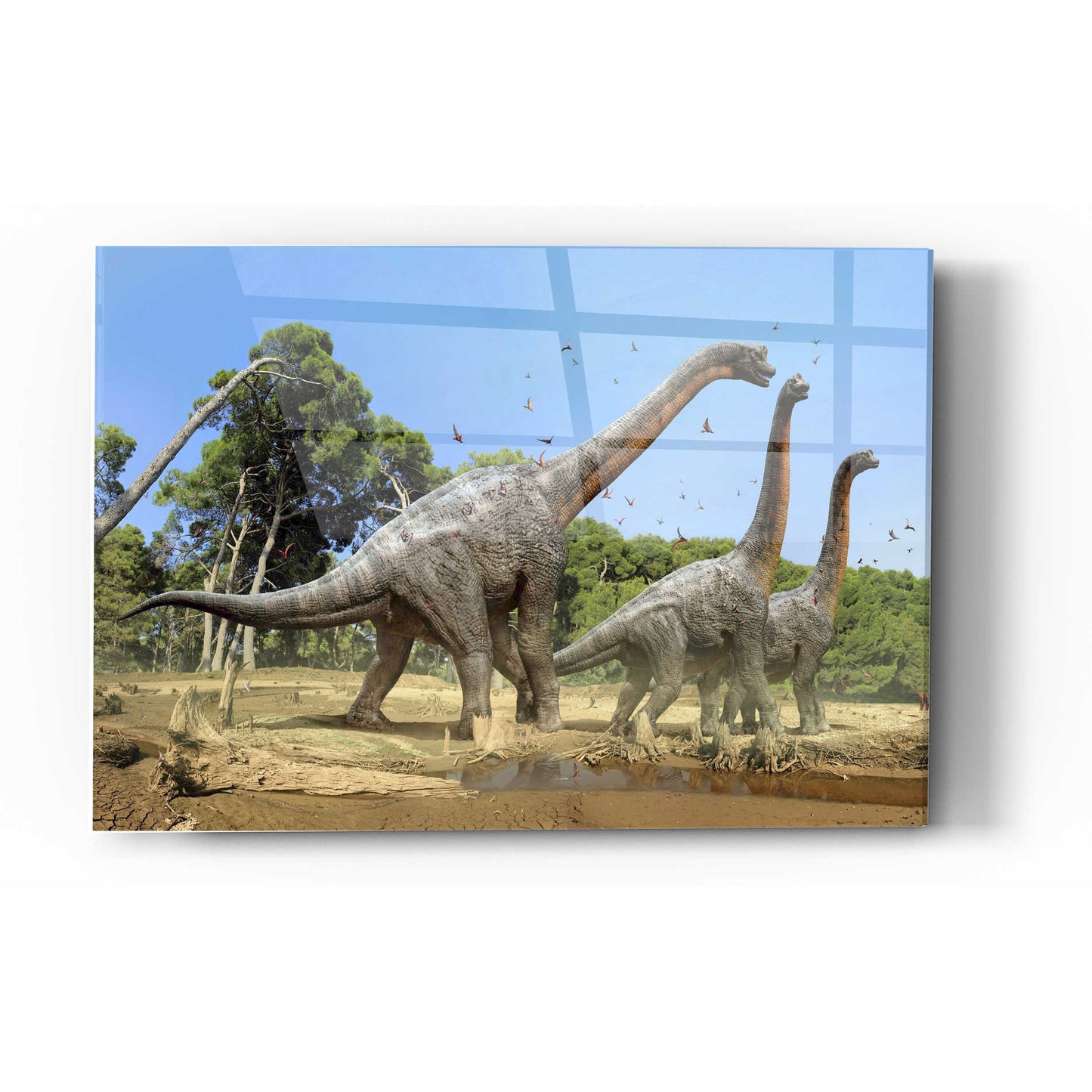 Epic Art 'Brachiosaurus' Acrylic Glass Wall Art,12x16