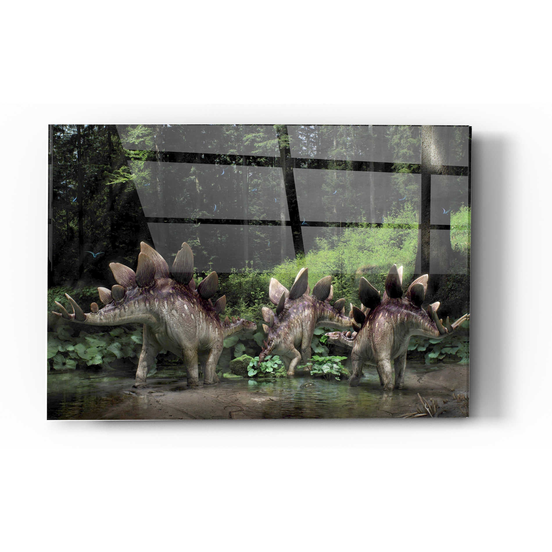 Epic Art 'Stegosaurus Family' Acrylic Glass Wall Art,12x16