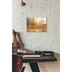 Epic Art 'Champagne City' by Danhui Nai, Acrylic Glass Wall Art,12x16