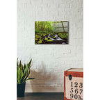 Epic Art "Where the Green Grows" by Darren White, Acrylic Glass Wall Art,16x24