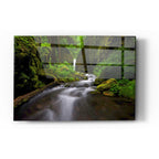 Epic Art 'Lushness' by Jesse Estes, Acrylic Glass Wall Art,16x24
