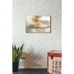 Epic Art 'Golden Dust' by Silvia Vassileva, Acrylic Glass Wall Art,16x24