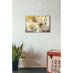 Epic Art 'Soft Glow' by Silvia Vassileva, Acrylic Glass Wall Art,16x24