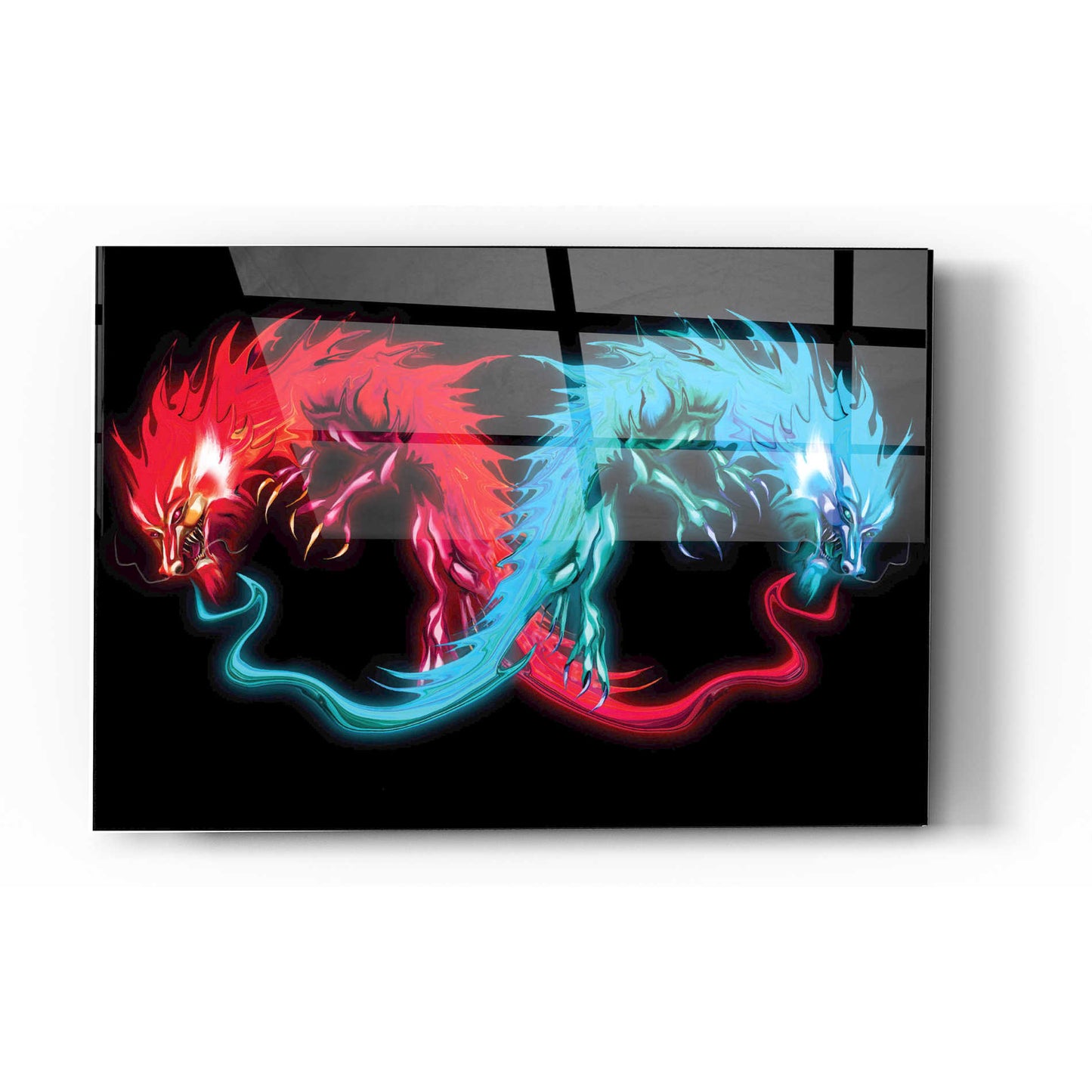 Epic Art 'Double Dragon' by Michael Stewart, Acrylic Glass Wall Art,16x24