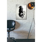 Epic Art 'Raven and Skull' by Nicklas Gustafsson, Acrylic Glass Wall Art,16x24