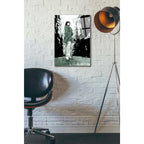 Epic Art 'Stray' by Jonathan Lam, Acrylic Glass Wall Art,16x24