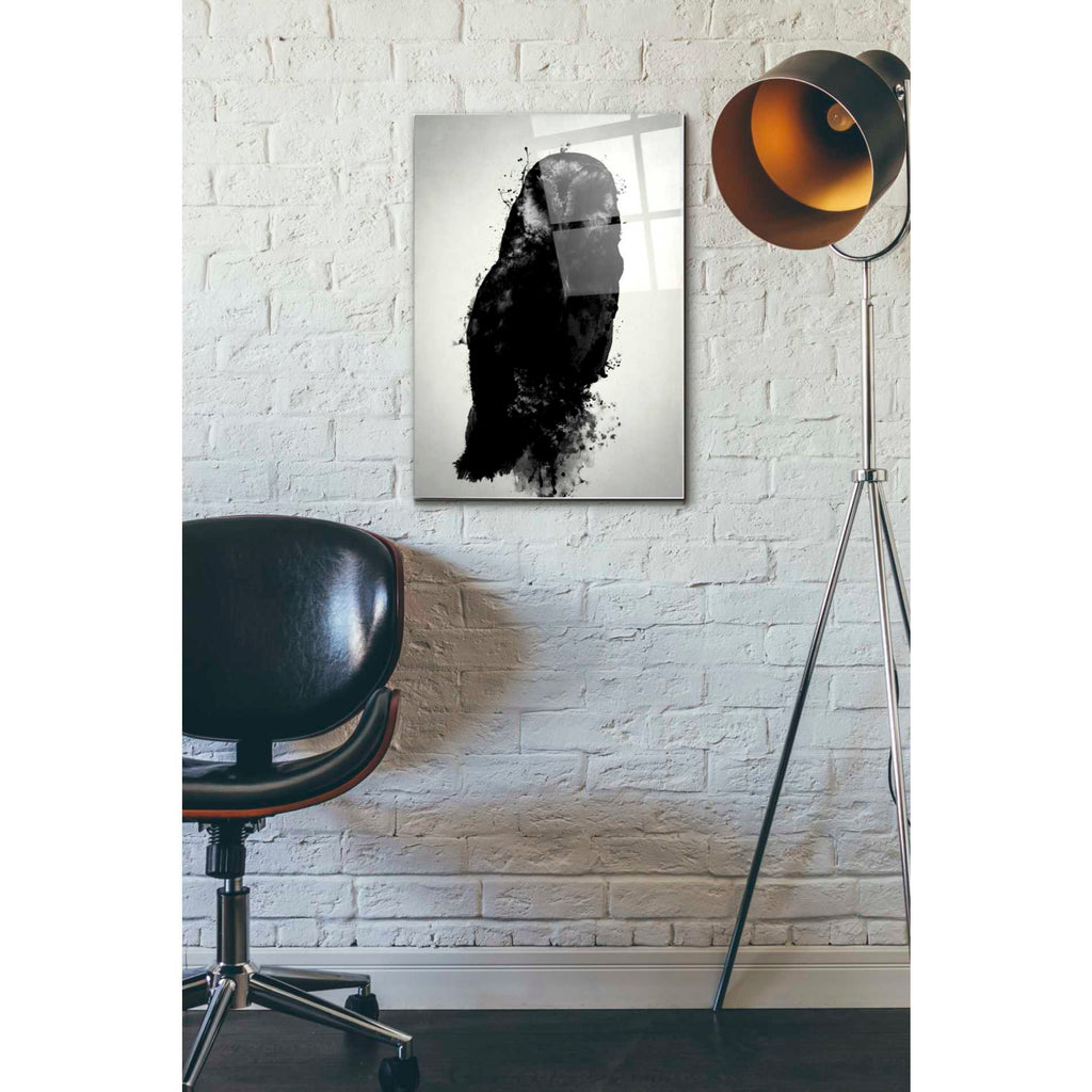 Epic Art 'The Owl' by Nicklas Gustafsson, Acrylic Glass Wall Art,16x24