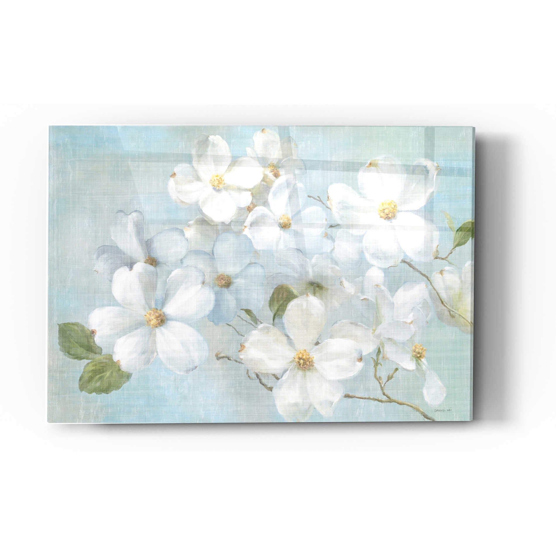 Epic Art 'Indiness Blossoms Light' by Danhui Nai, Acrylic Glass Wall Art,16x24